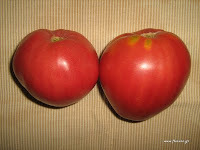 tomatooxheart-fruits2